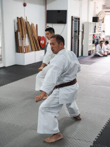 Karate kyu grading